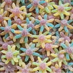 Octopus Acidulé - Halal